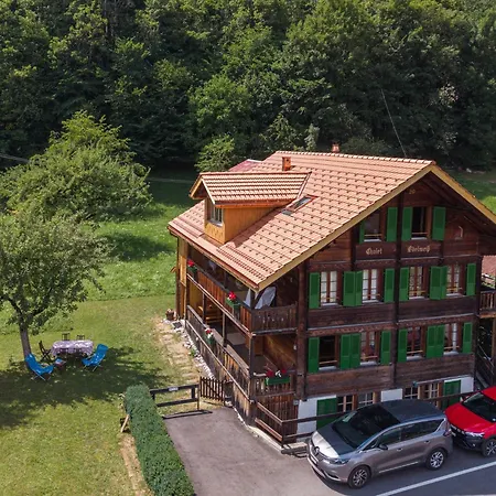 Mountain View Near And Parking Chalet Lauterbrunnen